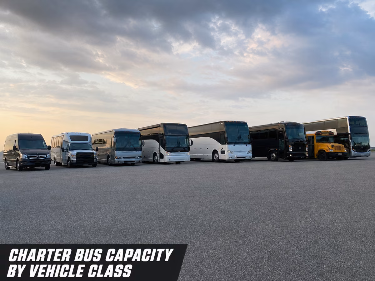 A row of vans, minibuses, and full-size coaches of different sizes parked side by side in a lot.