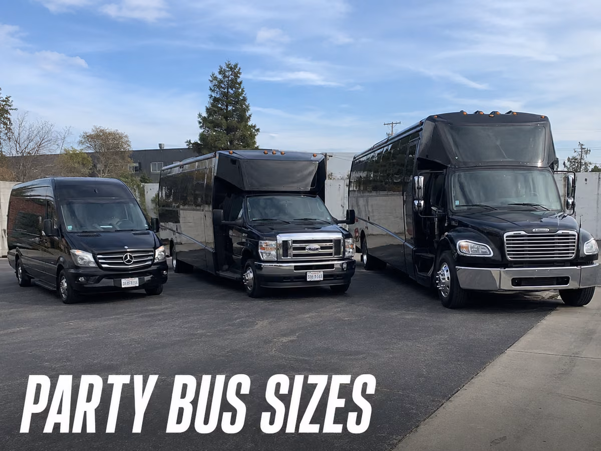Three party buses of different sizes parked in a row