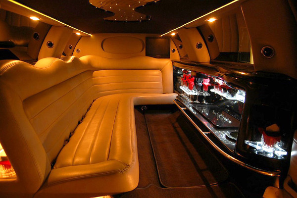 10-passenger limo-rental interior