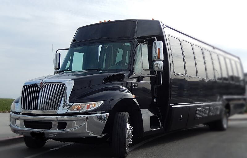 15 passenger party bus rental