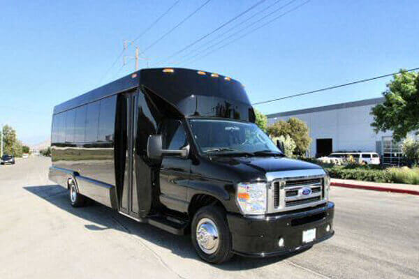 20 passenger party bus rental