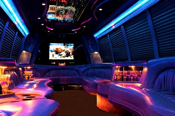 22 passenger party bus rental interior