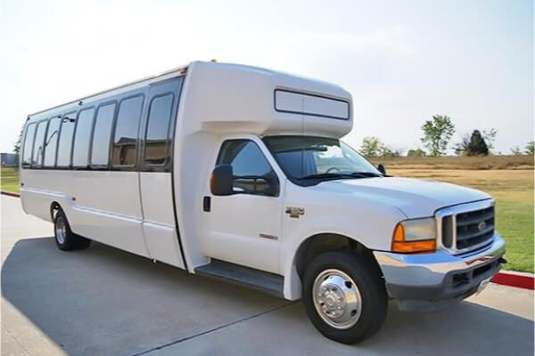 22 passenger party bus