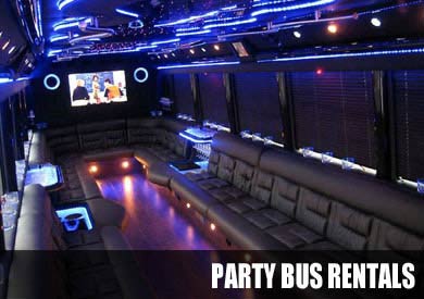 McDonough Party Bus